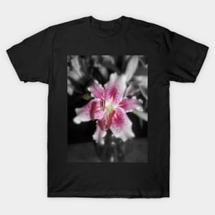 Stargazer Lilies#3 T-Shirt